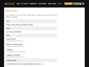 Contacts of the site administration