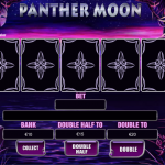 Additional game in this slot machine