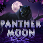 Panther Moon main page