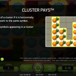 Description of Cluster Pays