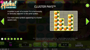 Description of Cluster Pays