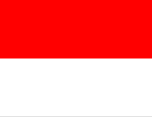 The flag of Indonesia