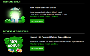 On this site there are 3 types of bonuses