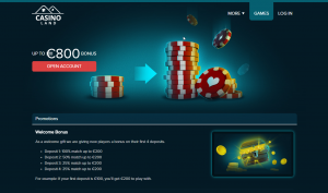 Promotions and bonuses in this casino