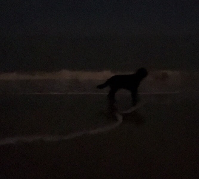 Midwinter fluistering van de zee