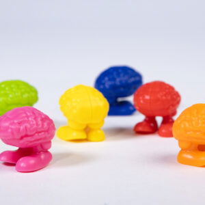 Hersenpionnen in 6 kleuren