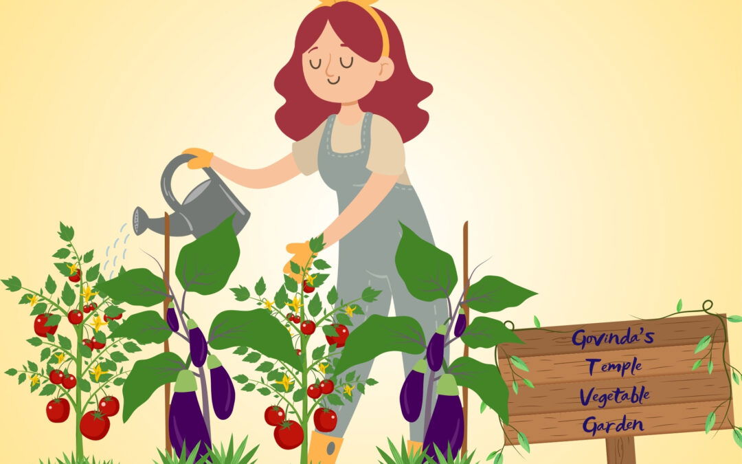 The creation of sukṛti