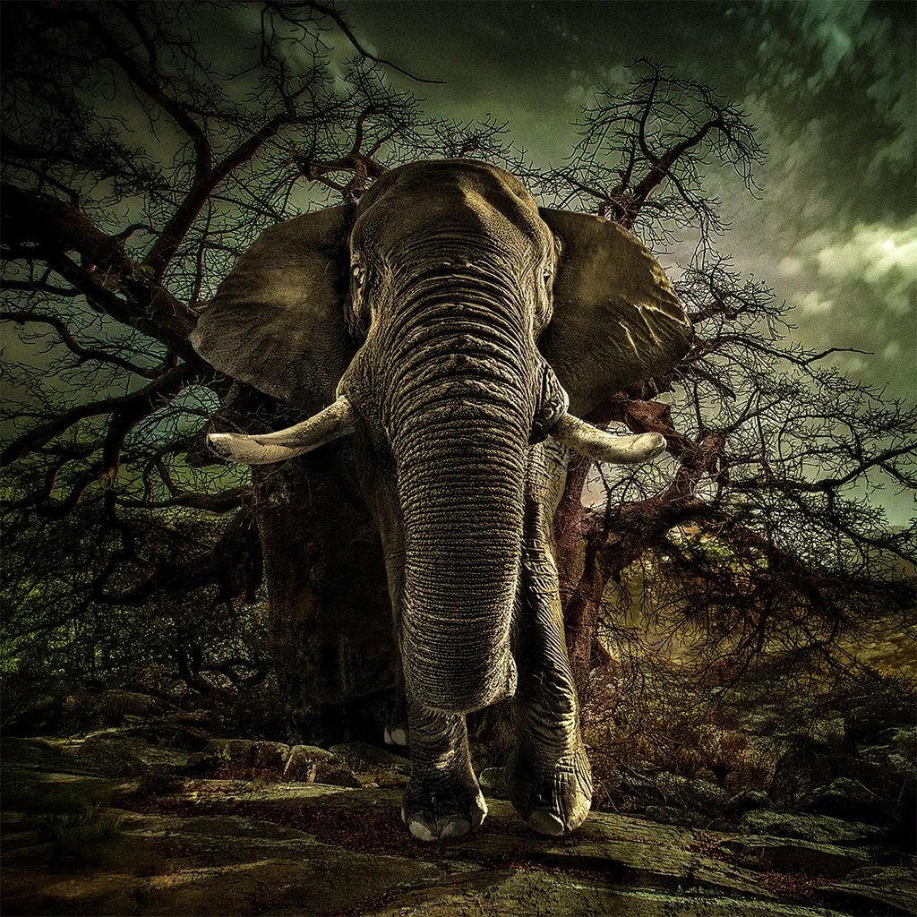 Ghost Elephants (Original Motion Picture Soundtrack) Ernst Reijseger, Tenore e Cuncordu de Orosei Spring Music