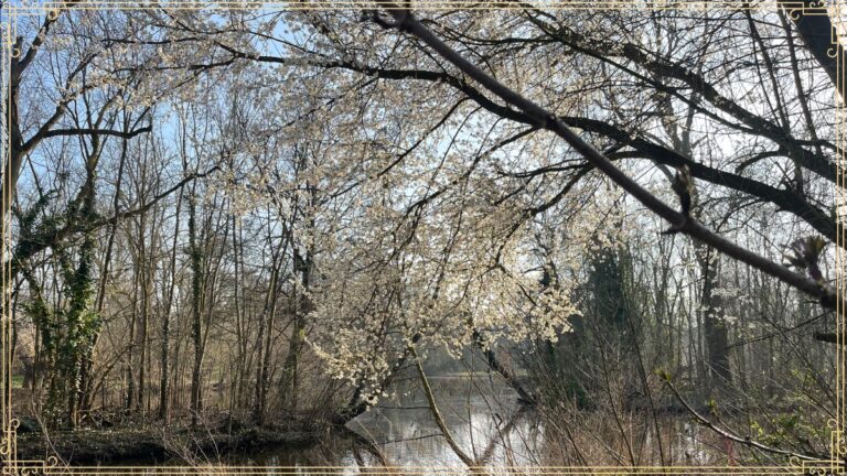 Lente