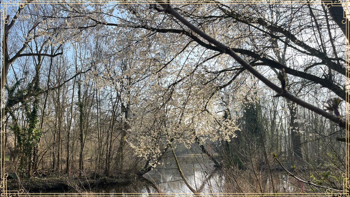 Lente